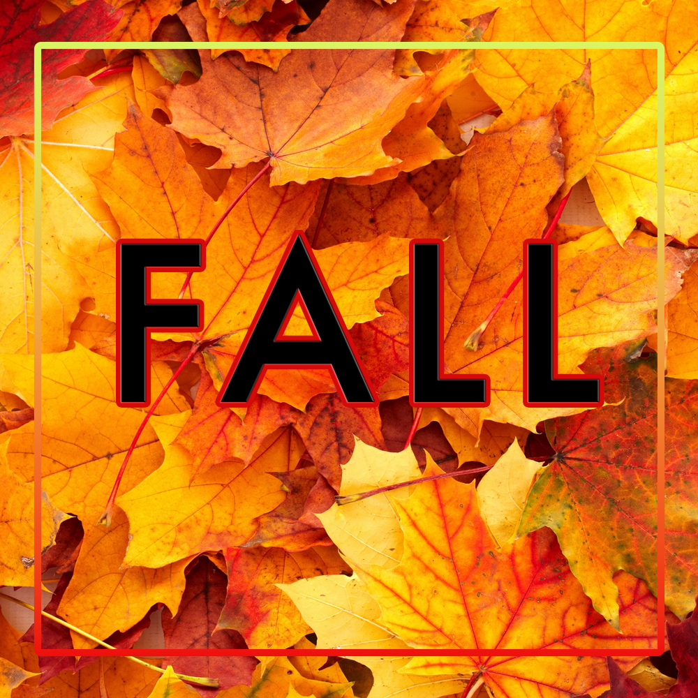 Fall