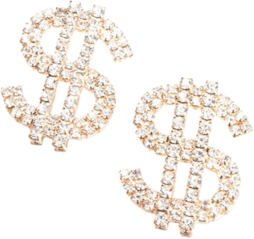 Money Earrings