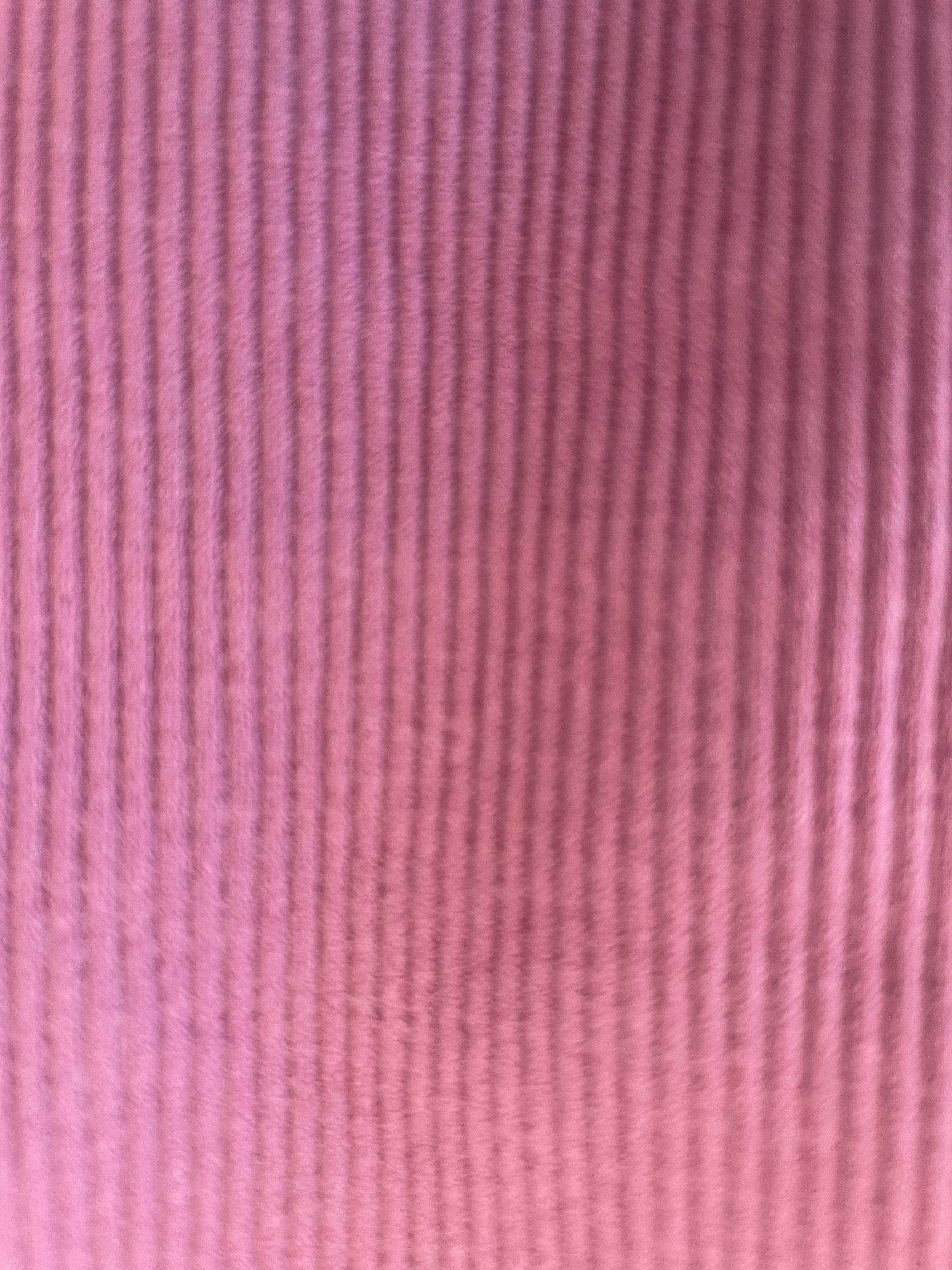 Seamless Ribbed Everday Basic Set